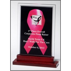 A6945 Breast Cancer Awareness Award